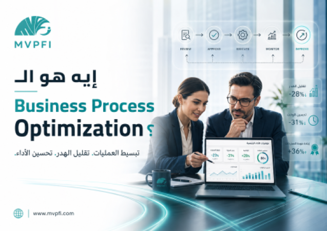 إيه هو الـ Business Process Optimization؟
