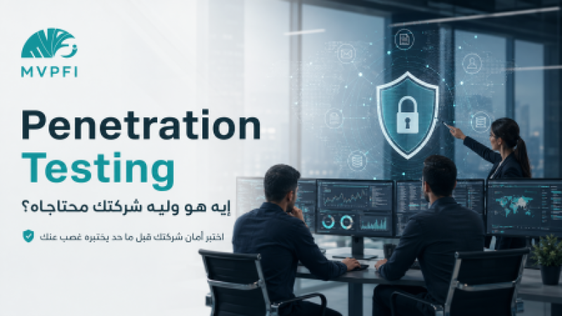 Penetration Testing — إيه هو وليه شركتك محتاجاه قبل ما يجي حد يعمله بالعافية؟